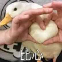 那些百看不厭的經典愛情電影，哪部是你的最愛