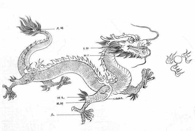 白描龍譜的畫法素材，搞創(chuàng)作，設(shè)計都用的到