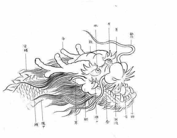 白描龍譜的畫法素材，搞創(chuàng)作，設(shè)計都用的到