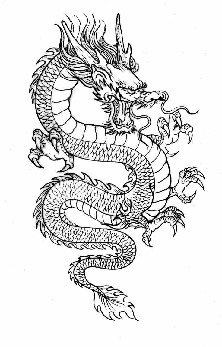 白描龍譜的畫法素材，搞創(chuàng)作，設(shè)計都用的到