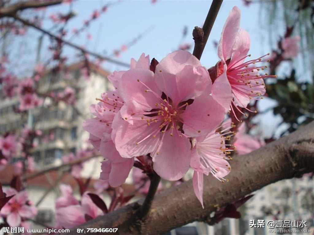致女神們——愿你芳華自在，笑靨如花