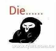 瀏覽器開不了網(wǎng)頁？全套解決方案留在這兒
