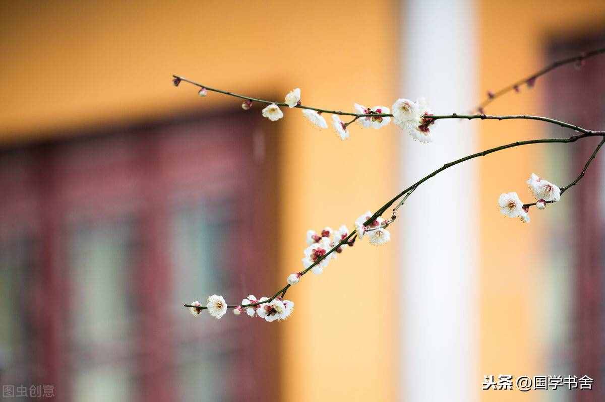 莫論他人是非，讓謠言止于智者
