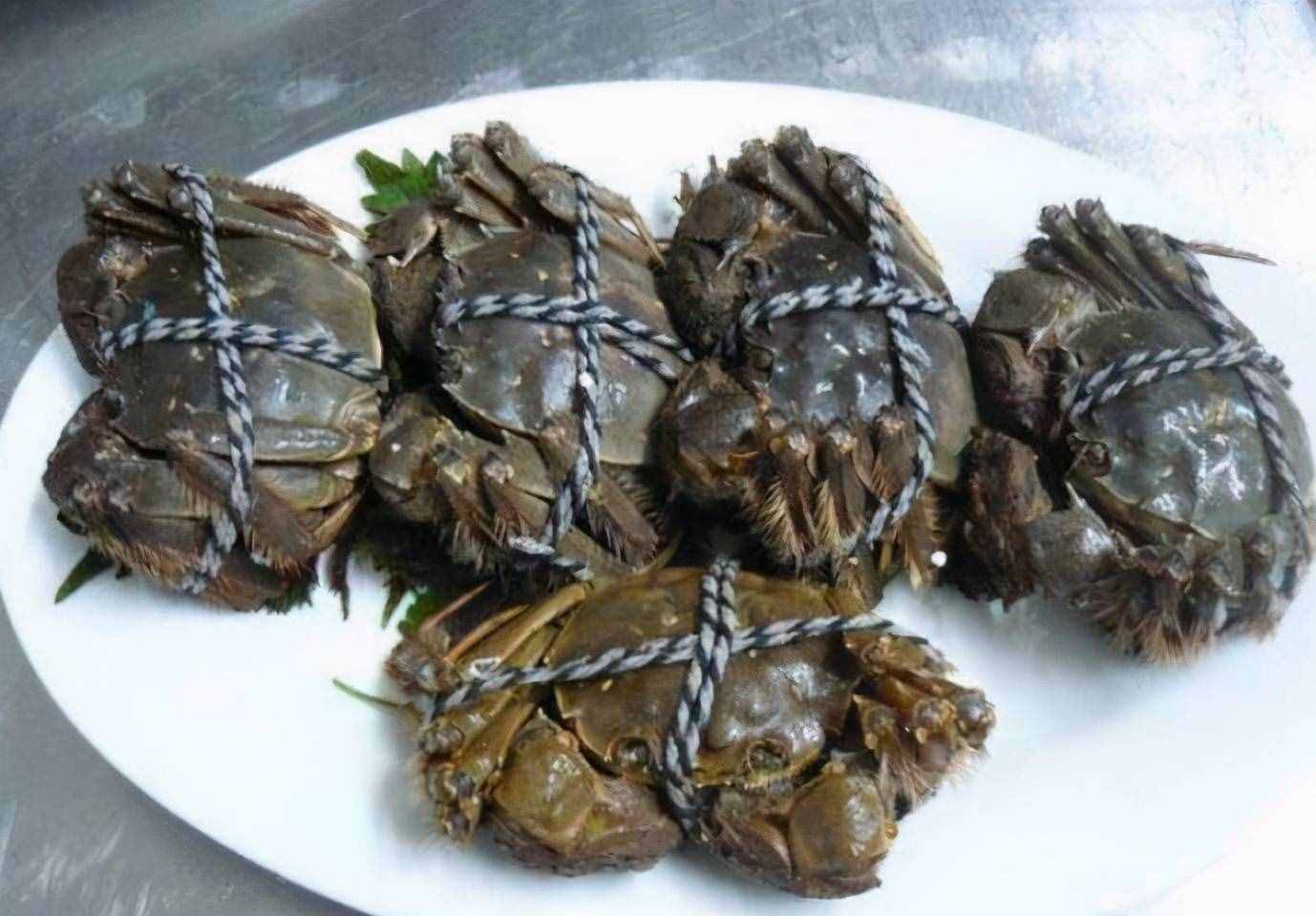 保存螃蟹，不要直接放冰箱！老漁民教你簡單方法，放7天還是活的