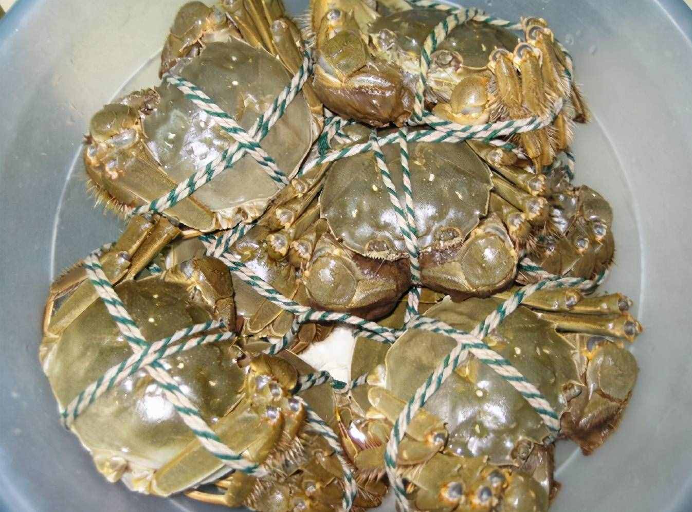 保存螃蟹，不要直接放冰箱！老漁民教你簡單方法，放7天還是活的