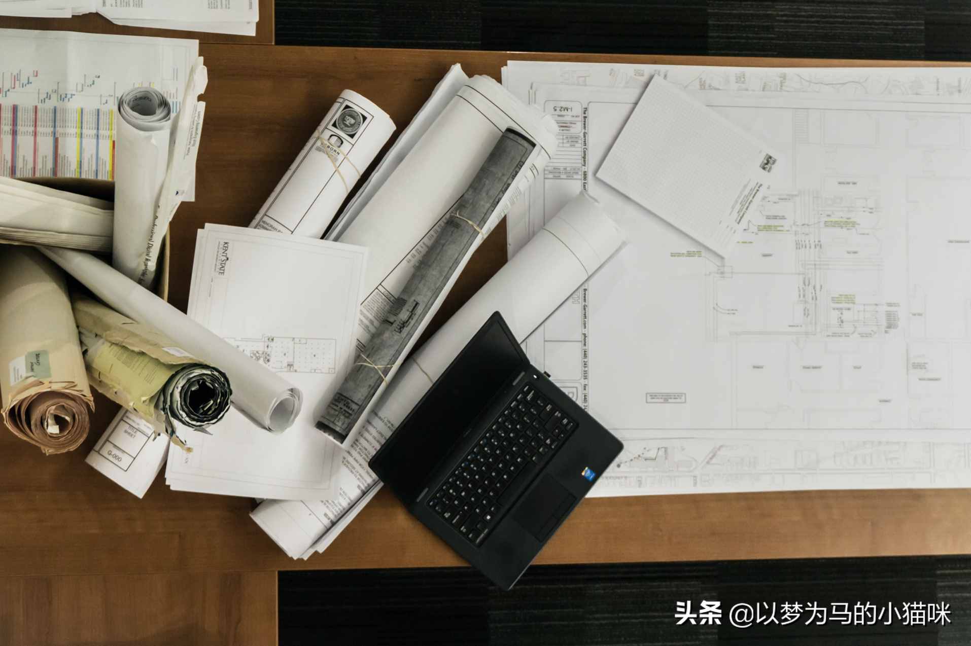 畢業(yè)“收入很高”的10大專業(yè)，想拿高薪可以報(bào)考，發(fā)展前景不錯(cuò)