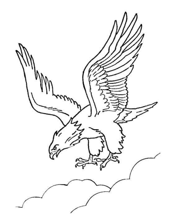 鳥兒的簡筆畫線稿，臨摹學畫