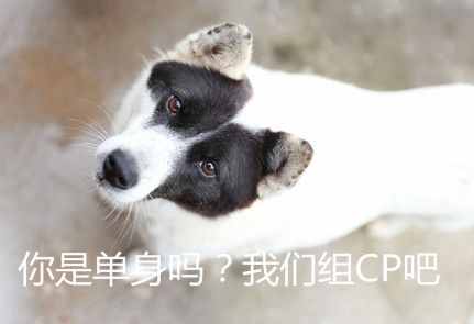 網(wǎng)絡(luò)語(yǔ)cpdd是什么梗啥意思 cpdd出處來(lái)源哪里常見用法介紹