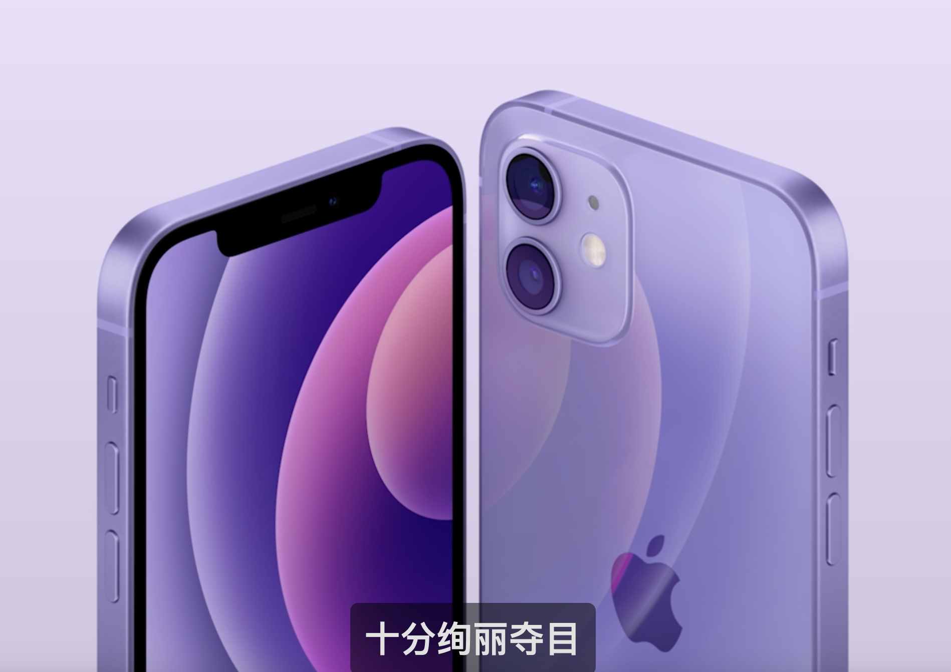 iPhone12發(fā)布紫色版，4月30日開(kāi)售
