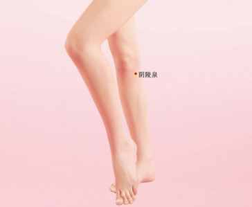 解析下焦?jié)駸岬目诵?、補(bǔ)脾利水之要穴——陰陵泉