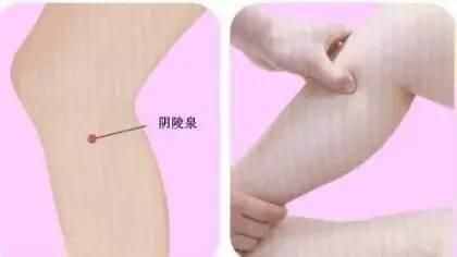 解析下焦?jié)駸岬目诵?、補(bǔ)脾利水之要穴——陰陵泉