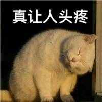 Word中煩人的頁眉橫線就是刪不掉？這里有4種刪除方法！一看就會