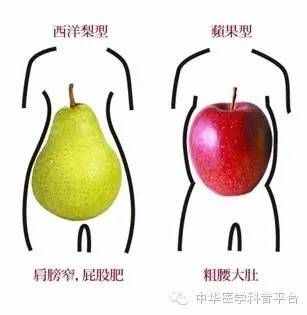 今天，我們來(lái)聊一聊三圍