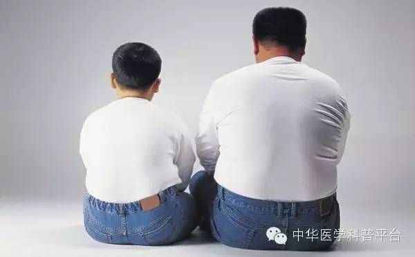 今天，我們來(lái)聊一聊三圍