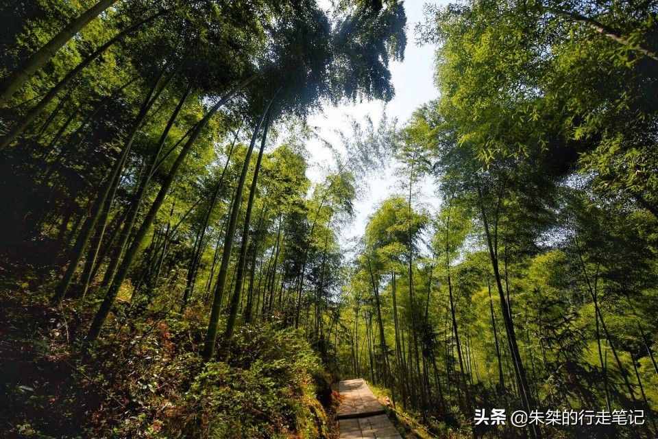 大別山，坐落于鄂豫皖三省交界處，為啥大家都說是“安徽大別山”