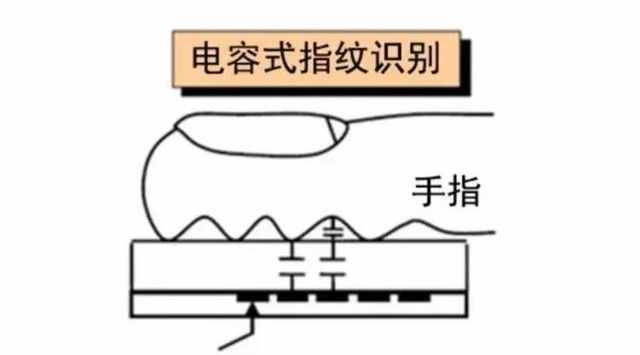 一文看懂三大指紋識別原理 光學屏幕指紋強在哪？