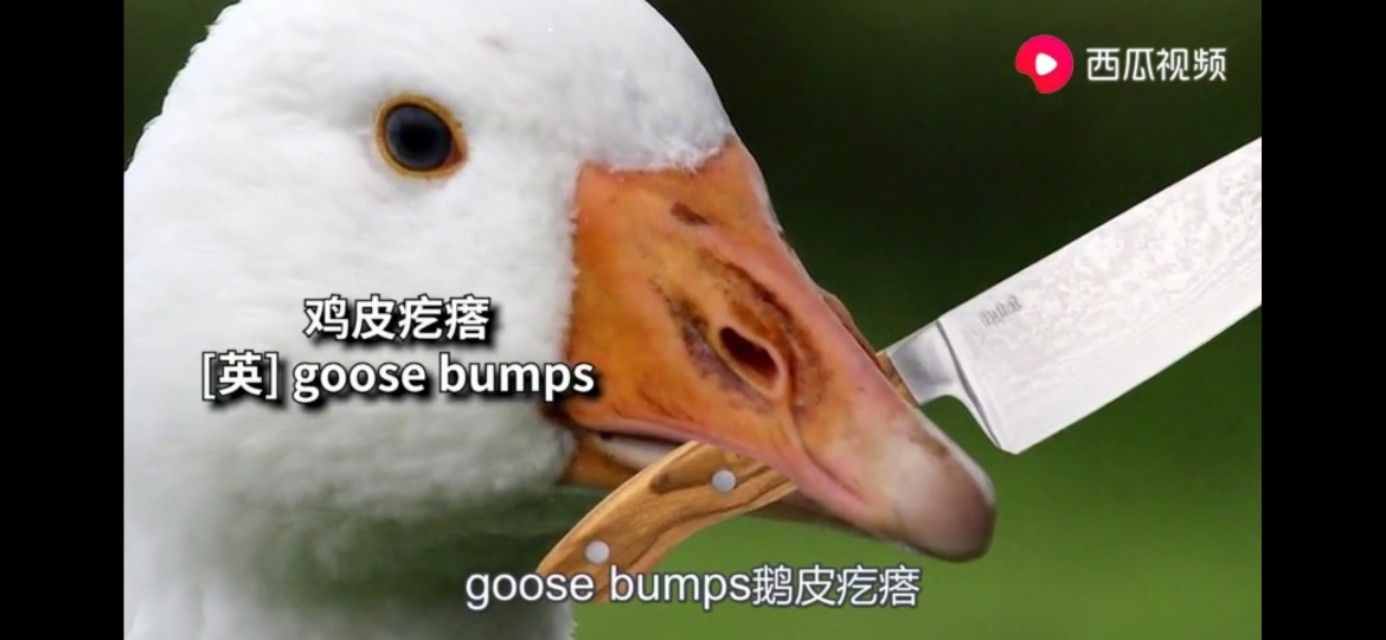 這么多年，原來“尿”一直都念錯了，今天就來觸及你的知識盲區(qū)
