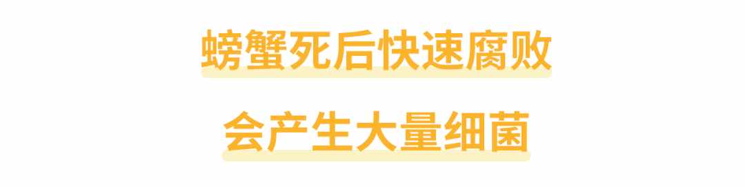 螃蟹死了還能吃嗎？“死海鮮”對身體有沒有害？