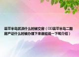翡翠半島武清什么時(shí)候交房（??翡翠半島二期房產(chǎn)證什么時(shí)候辦理下來誰能說一下呢介紹）