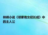 林峰小說《鄰家有女初長成》中的主人公