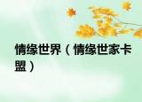 情緣世界（情緣世家卡盟）