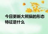 今日更新大熊貓的形態(tài)特征是什么