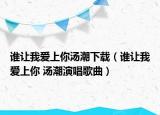 誰讓我愛上你湯潮下載（誰讓我愛上你 湯潮演唱歌曲）