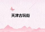 天津古玩街