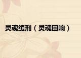 靈魂緩刑（靈魂回響）
