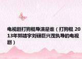 電視劇打狗棍導(dǎo)演是誰（打狗棍 2013年郭靖宇劉礴巨興茂執(zhí)導(dǎo)的電視劇）