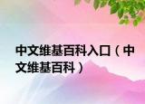 中文維基百科入口（中文維基百科）