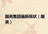 國(guó)美集團(tuán)最新現(xiàn)狀（國(guó)美）