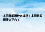 本田雅閣用什么波箱（本田雅閣用什么平臺）