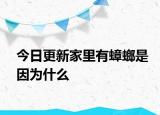 今日更新家里有蟑螂是因為什么