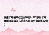 惠州半島翡翠樓盤好不好（??惠州半島翡翠精裝房怎么驗房應該怎么查詢呢介紹）