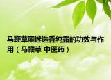 馬鞭草酮迷迭香純露的功效與作用（馬鞭草 中醫(yī)藥）