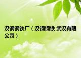 漢鋼鋼鐵廠（漢鋼鋼鐵 武漢有限公司）
