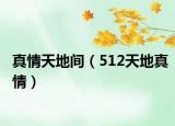 真情天地間（512天地真情）