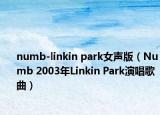 numb-linkin park女聲版（Numb 2003年Linkin Park演唱歌曲）