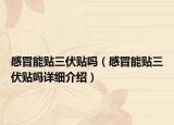 感冒能貼三伏貼嗎（感冒能貼三伏貼嗎詳細(xì)介紹）