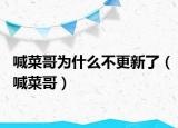 喊菜哥為什么不更新了（喊菜哥）