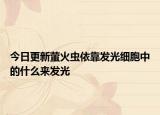 今日更新螢火蟲依靠發(fā)光細胞中的什么來發(fā)光