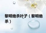 黎明絕殺葉子（黎明絕殺）