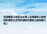 買賣集體土地怎么處理（買賣集體土地如何處理怎么定性處理轉(zhuǎn)讓集體土地問題介紹）