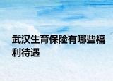 武漢生育保險有哪些福利待遇