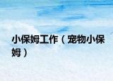 小保姆工作（寵物小保姆）