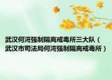 武漢何灣強(qiáng)制隔離戒毒所三大隊（武漢市司法局何灣強(qiáng)制隔離戒毒所）