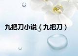 九把刀小說(shuō)（九把刀）
