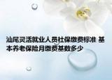 汕尾靈活就業(yè)人員社保繳費(fèi)標(biāo)準(zhǔn) 基本養(yǎng)老保險(xiǎn)月繳費(fèi)基數(shù)多少