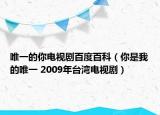 唯一的你電視劇百度百科（你是我的唯一 2009年臺(tái)灣電視?。? /></span></a>
                        <h2><a  title=